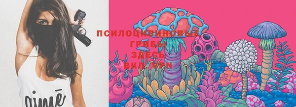 mdpv Верхний Тагил